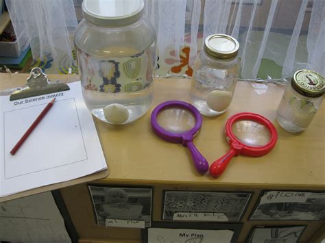 egg inquiry | Inquiry based learning kindergarten, Kindergarten inquiry, Inquiry based learning