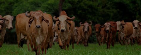 Contact Us – Nuclear Farm