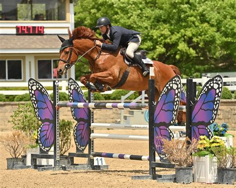 HITS Lamplight Equestrian Center - HITS Horse Shows