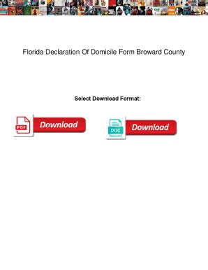 Fillable Online Florida Declaration Of Domicile Form Broward County ...