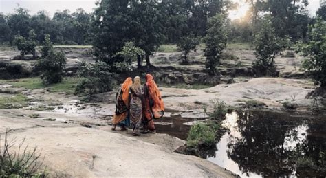 The Forest and Its Links to Women’s Fight for Freedom and Identity in ...