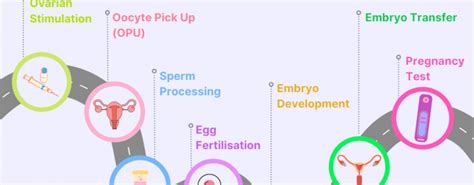 IVF Process Step by Step 的图像结果