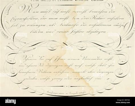 German Language 的图像结果