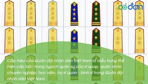 AMBIL SEKARANG