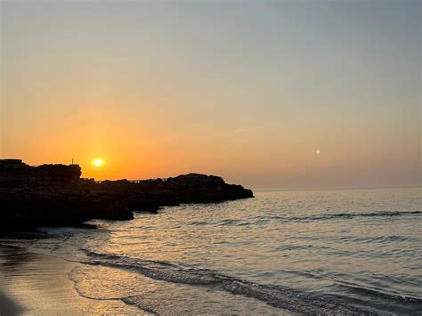 ORIENT VOYAGE (2026) All You Need to Know BEFORE You Go (with Photos ...