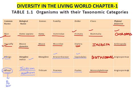 NEET 2026: All Important NCERT Biology Tables for Last Minute Revision ...