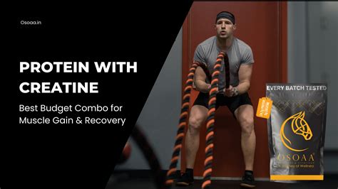 Protein with Creatine: Affordable Muscle Gain & Recovery Combo – Osoaa