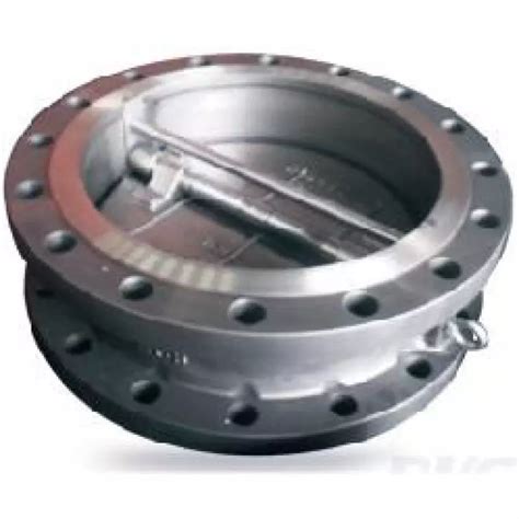 Ahmedabad's Trusted Check Valves Manufacturer & Dealer for All Needs