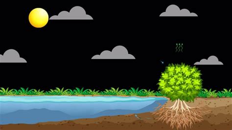 Environment Animation 的图像结果