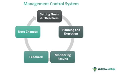 Image result for Management Control System Explained