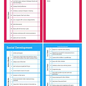 Pocket-Sized Developmental Milestones Tracking Document