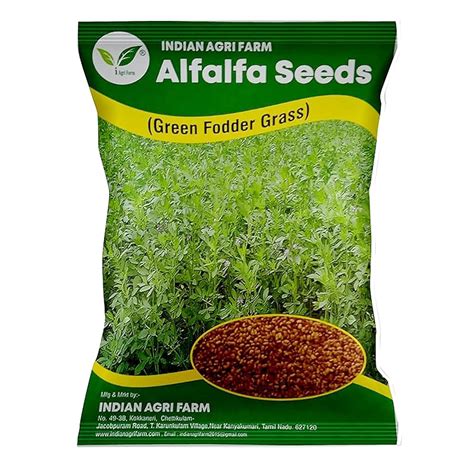 Iagrifarm Alfalfa/Lucerne/Kuthirai Masal Seeds -1 Kg - Multicut - For ...