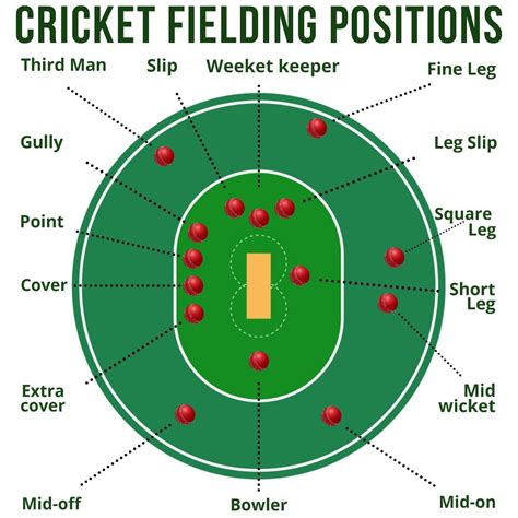 Cricket Field Positions Diagram