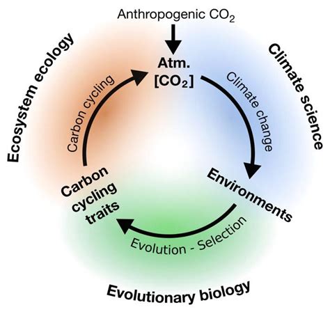 Evolution Environmental Science 的图像结果