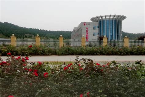 共青团中国农业大学委员会 实践故事 探访中国玫瑰之都平阴
