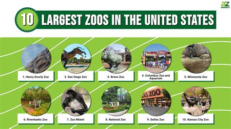 The 10 Largest Zoos in the United States in 2024 - A-Z Animals