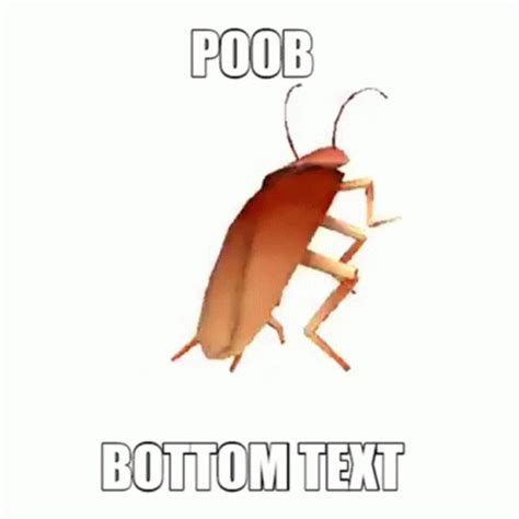 Cockroach Dance Meme 的图像结果