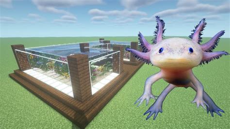 Image result for Minecraft Axolotl Farm Tutorial