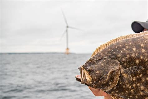Rhode Island Fishing Reports