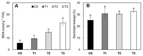 Night Light-Adaptation Strategies for Photosynthetic Apparatus in ...