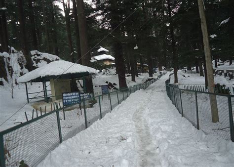 Book Online Shimla Manali Trip Package With Kesari Tours