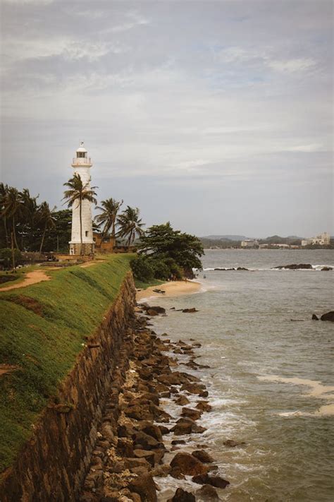 World背景图片 的图像结果