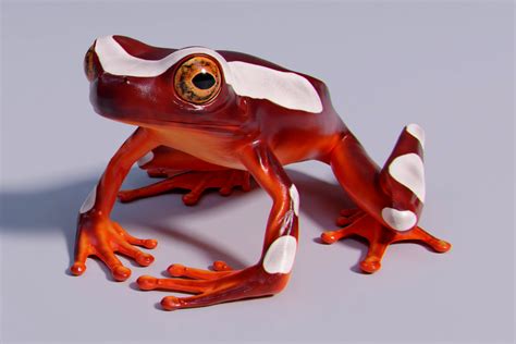 Image result for 2D Unity Tutorial Frog