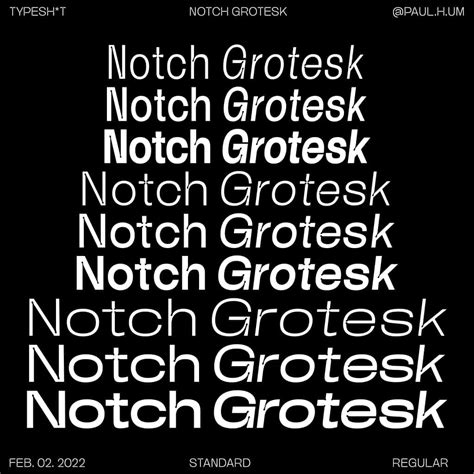 Notch Grotesk Extended Bold Font | xFonts.pro