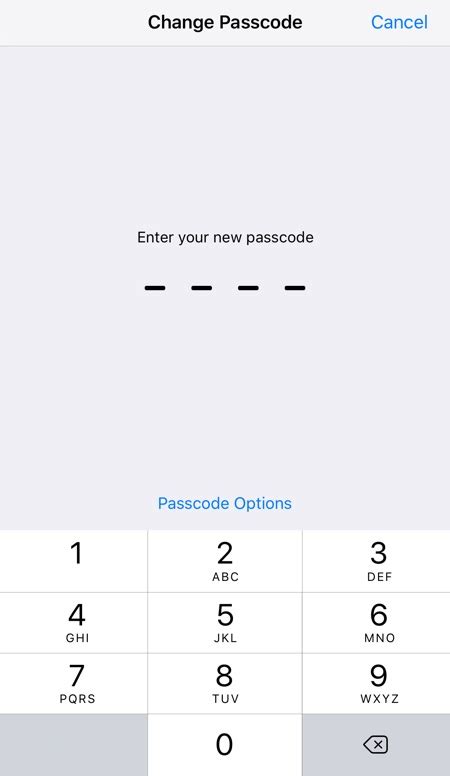 Image result for iOS 6 Enter Passcode