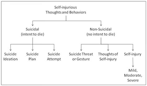 Why Did Sadie Frost Hurt Herself? On the Social Functions of Non ...