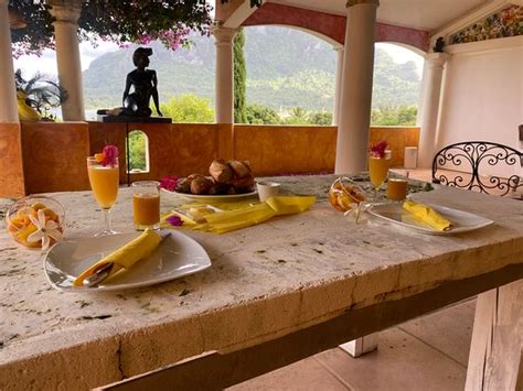 VILLA YRONDI (Rurutu, Austral Islands) - Specialty B&B Reviews, Photos ...