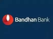 Bandhan Bank shares rise nearly 4% after December-quarter loans grow 10 ...