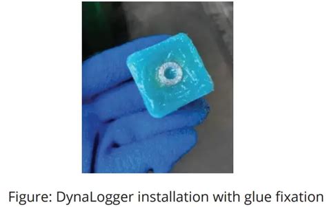 Image result for Dynamox Introduction