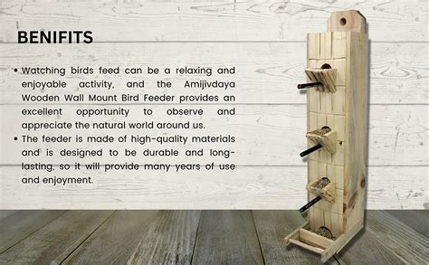 Amijivdaya Wooden Wall Mount Bird Food Feeder (Pack of 1) : Amazon.in ...
