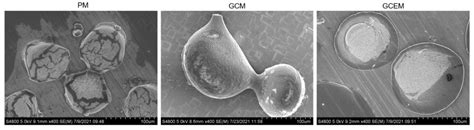 Development of Gelatin-Coated Microspheres for Novel Bioink Design