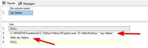 Python Entry Form to Update SQL Server Table 的图像结果