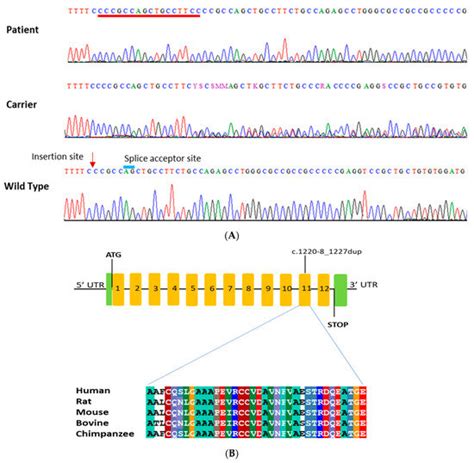 Biomedicines | Special Issue : Genetic Research on Neurodevelopmental ...