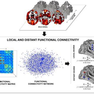 Local Disconective 的图像结果