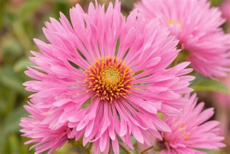 Portale Provider Clover Health: Guida Pratica per Medici