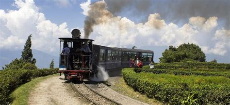 DARJEELING SABH TRAVELS