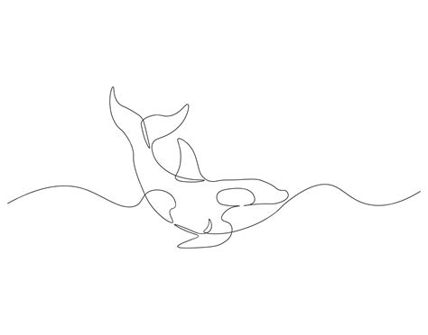 Premium Vector | Continuous one line drawing of orca whale One line ...