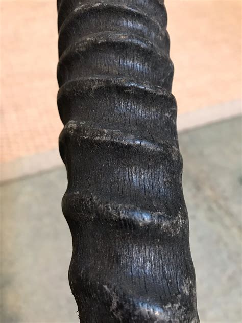 African Antler For Sale at 1stDibs | african walking sticks, antler ...