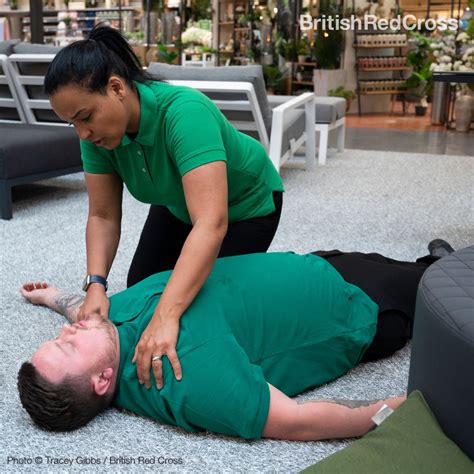 Image result for Red Cross Basic First Aid