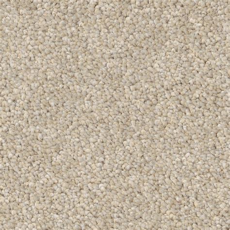 STAINMASTER PetProtect with LeakDefense Terrific Tails III Dune View ...