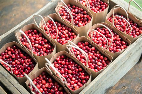 Shopping & Retail - Discover Wareham