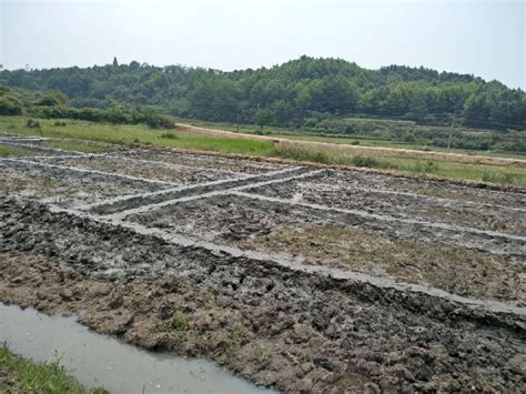 湖南嘉禾：干群渠道清淤 保障农田灌溉-人民图片网