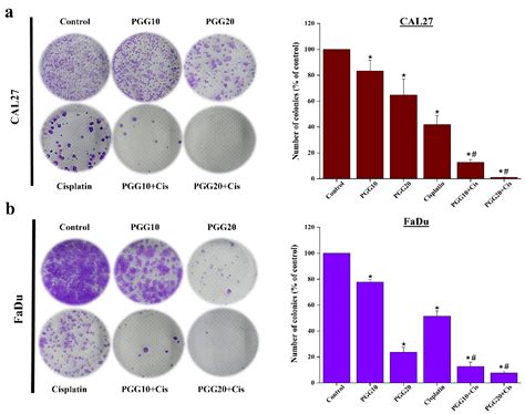 Pentagalloyl Glucose and Cisplatin Combination Treatment Exhibits a ...