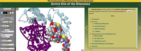 Biochemistry Tutorials 的图像结果