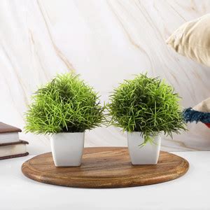 Flipkart SmartBuy Wild Artificial Plant with Pot Price in India - Buy ...