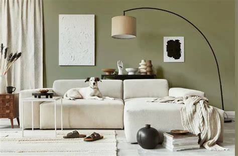Benjamin Moore Cypress Green 509: 30 real home pictures